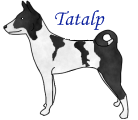 Basenji.png